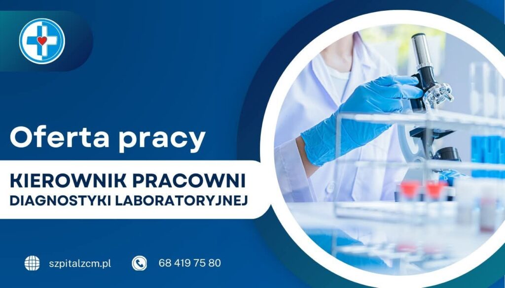 Oferta pracy